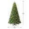 7.5ft. Pre-Lit Whistler Pine Artificial Christmas Tree, Color Changing LED Lights by Ashland&#xAE;
